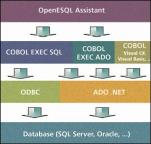 OpenESQL™