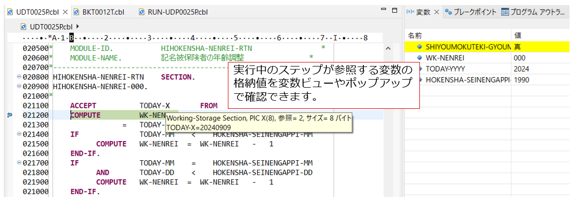 COBOL 専用デバッガーによるテスト効率の向上