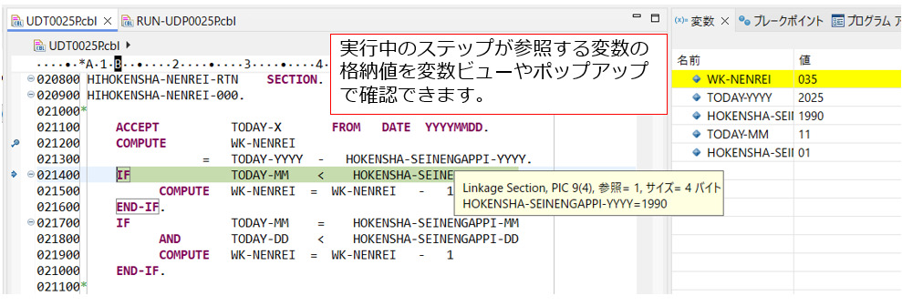 COBOL 専用デバッガーによるテスト効率の向上