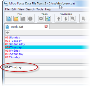 非フォーマット レコードの編集中のフィールド