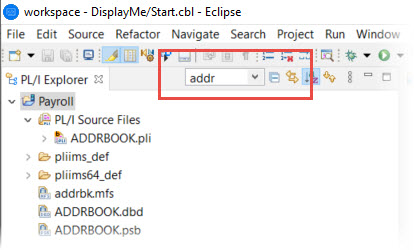 PL/I エクスプローラーのフィルター フィールド