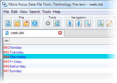 An indexed file sorted on the primary key