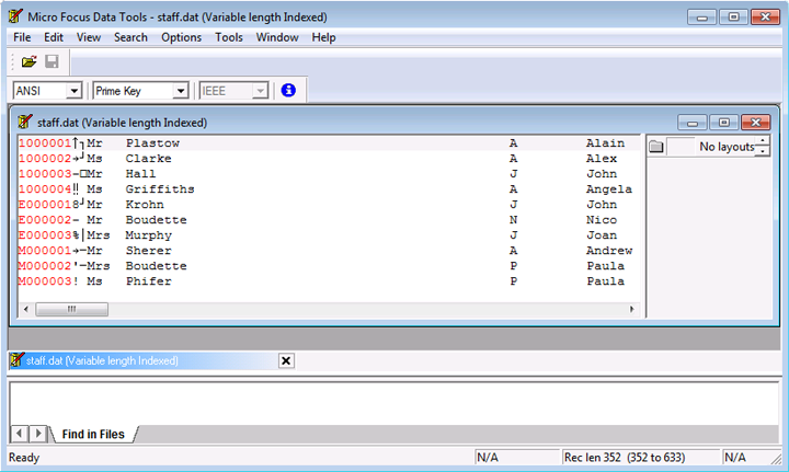 [Data File Editor] ウィンドウが表示された IDE 