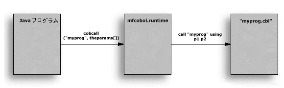 Java  COBOL ւ̌Ăяo