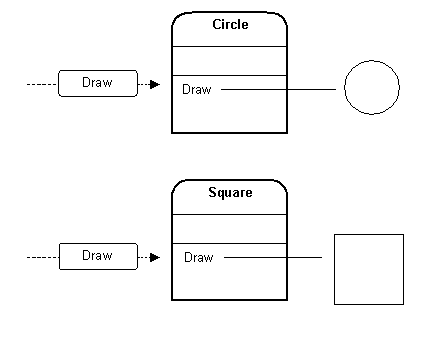 Polymorphism