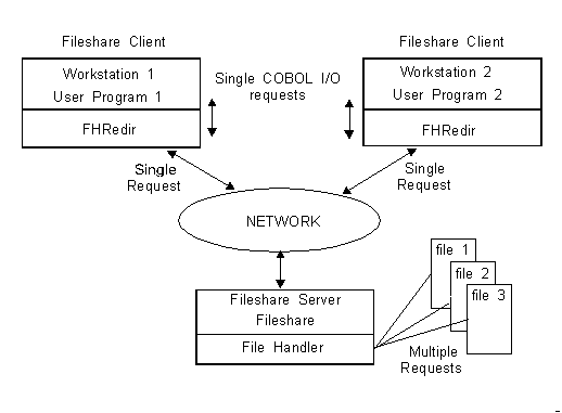 Fileshare ネットワーク
