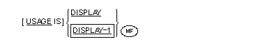USAGE 句の一般形式の構文